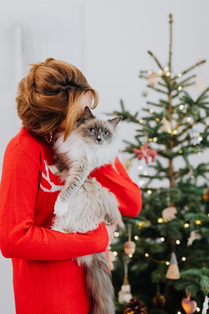 A woman in red cuddles a fluffy cat near a decorated Christmas tree.